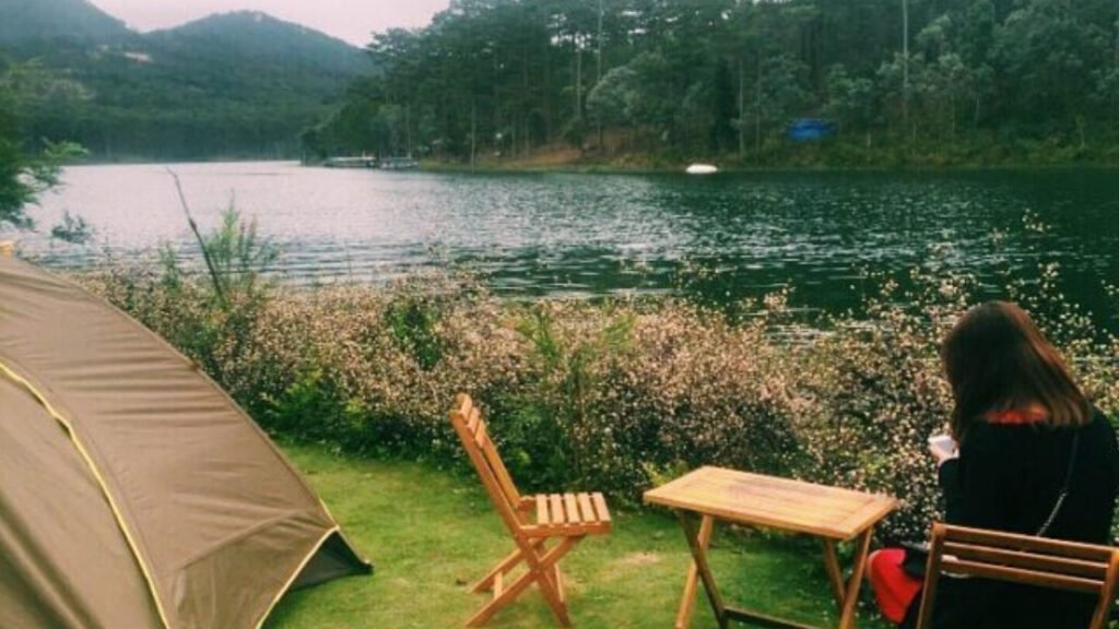 Basic Camping Skills